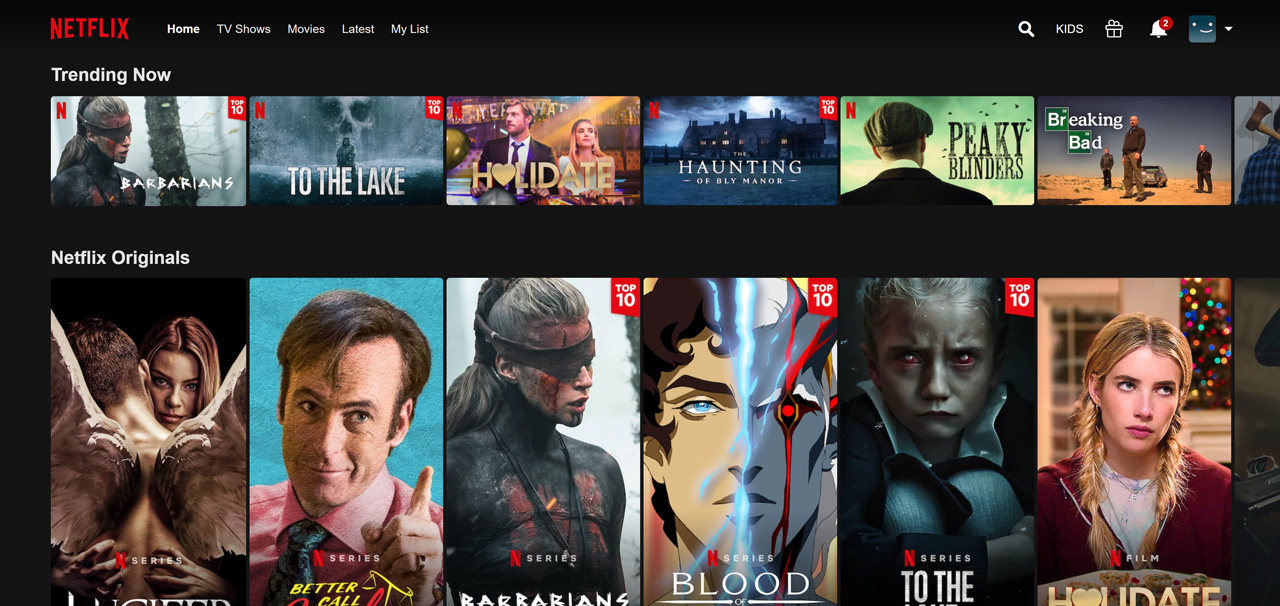 Accessing all of Netflix