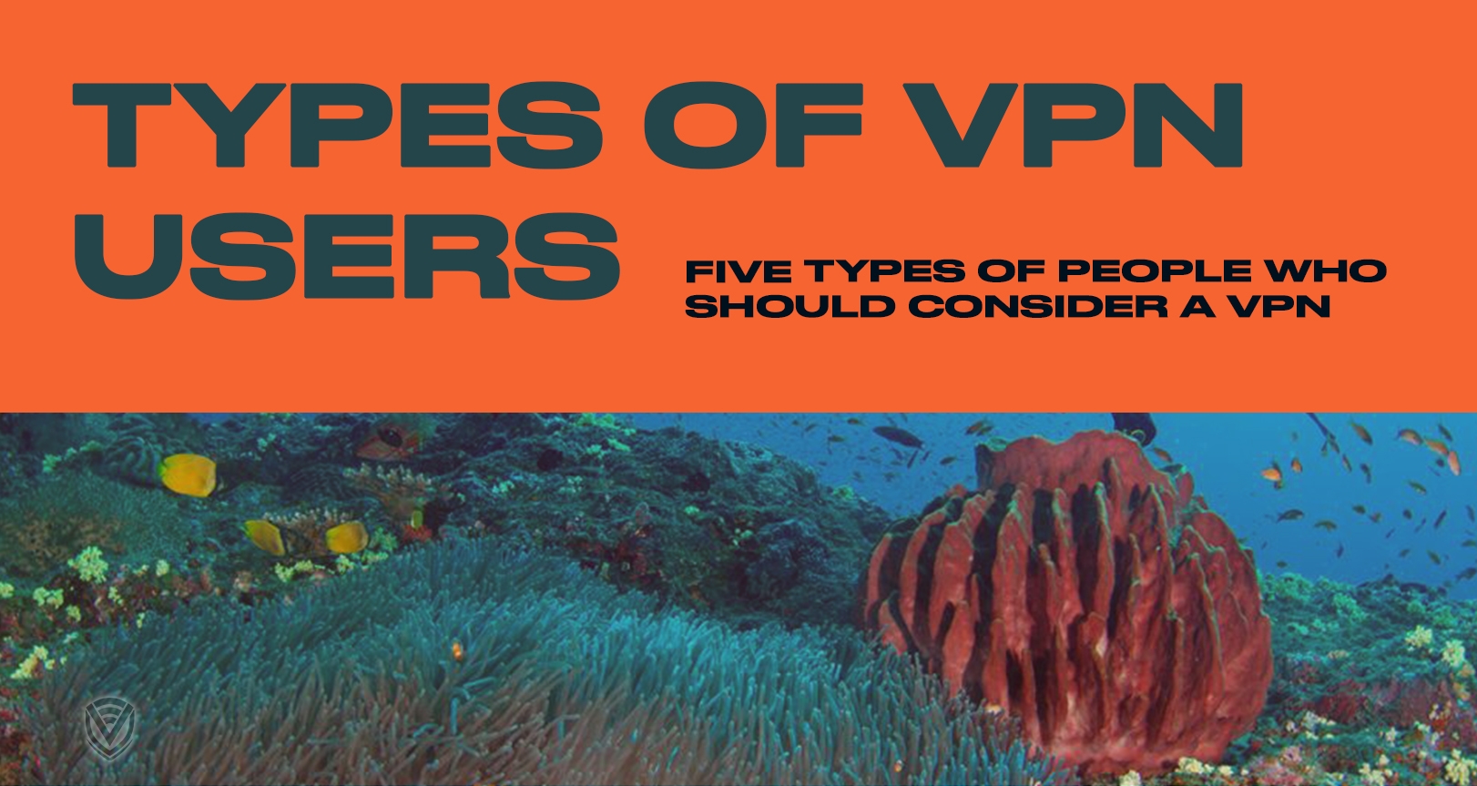 People Who Need A VPN