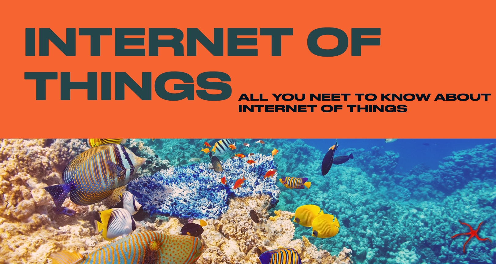 Everything about Internet of Things