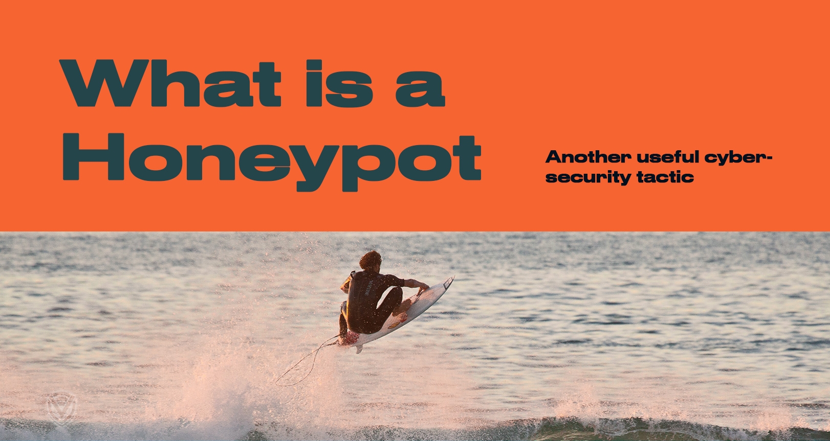 What is a Honeypot?