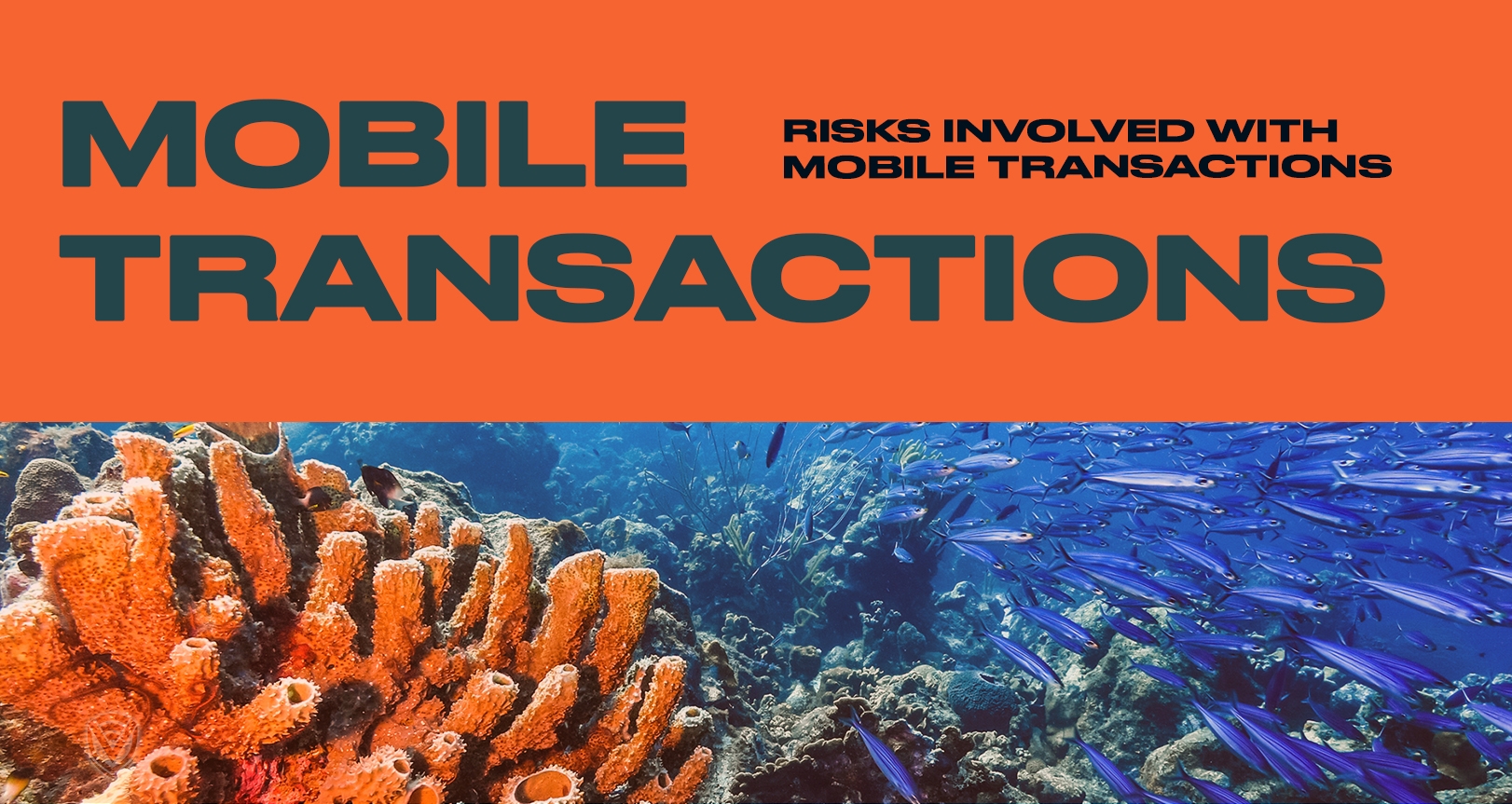 Are Your Mobile Transactions Safe?